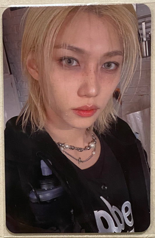 Stray Kids Felix Karma SKZOO POB Photocard