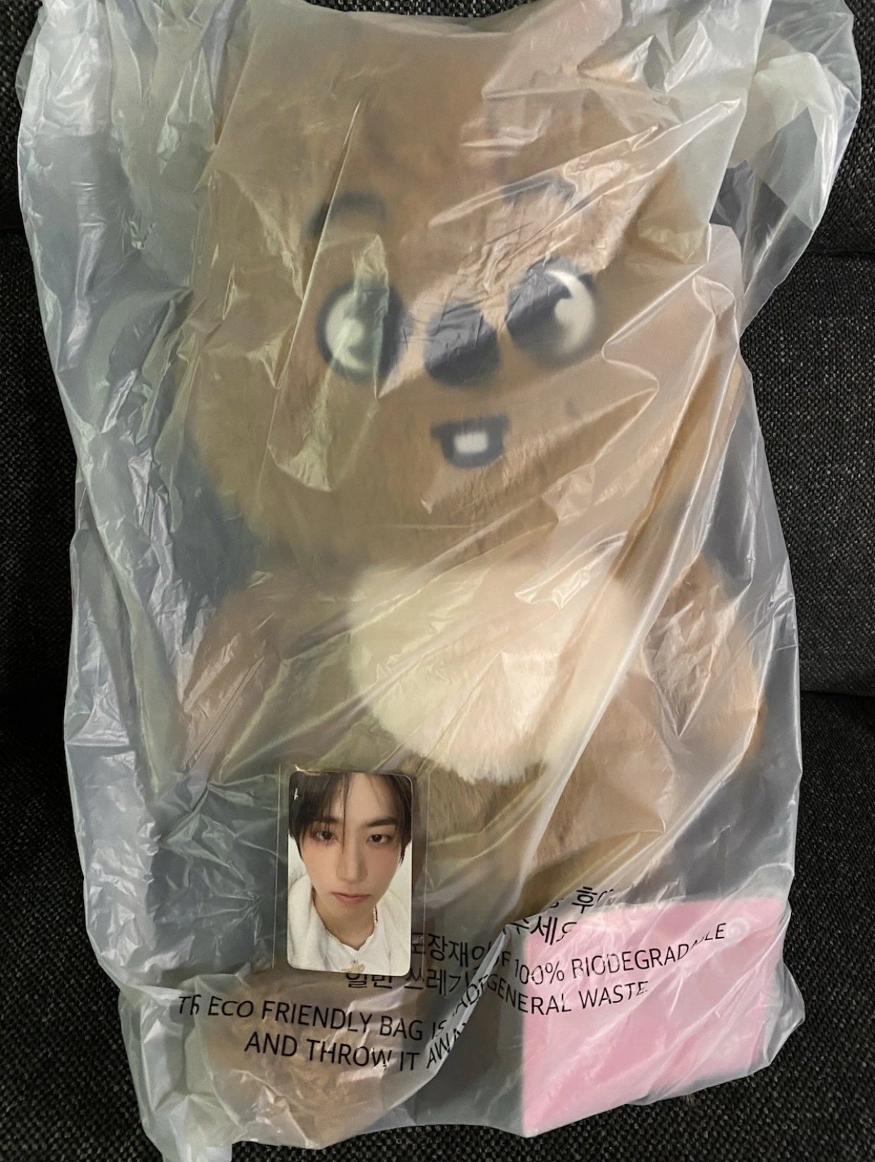 Stray Kids Official 5’CLOCK Han Quokka Skzoo Teddy Bear Passport And POB