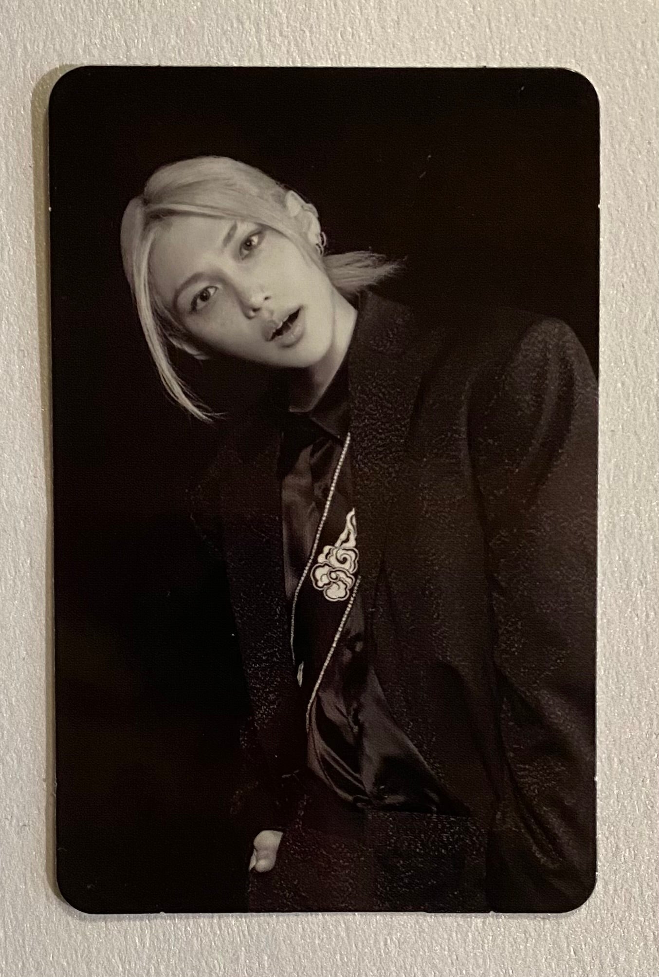 Stray Kids SKZHOP Hop Felix Accordion Monochrome Photocard