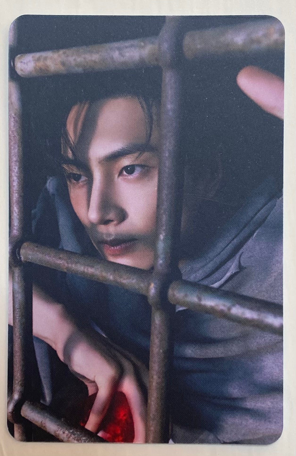 ENHYPEN Jay ‘THE SIN VANISH’ Apple Music POB Photocard (FUGITIVES ver.)