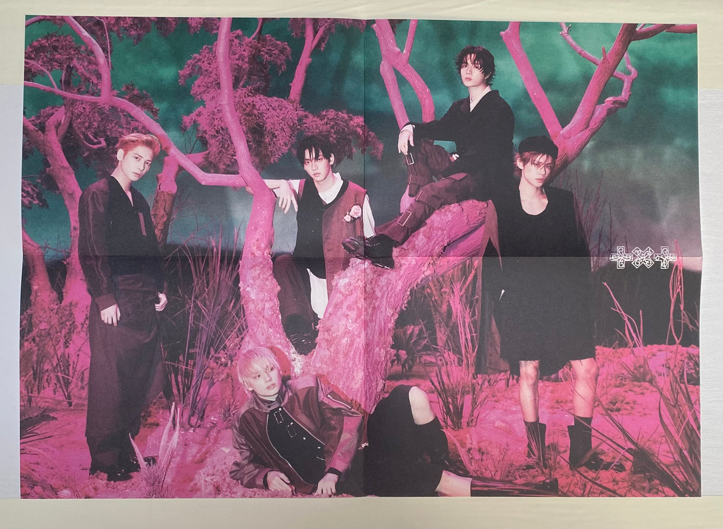 TXT - 7th Year: A Moment of Stillness in the Thorns Folded Poster
