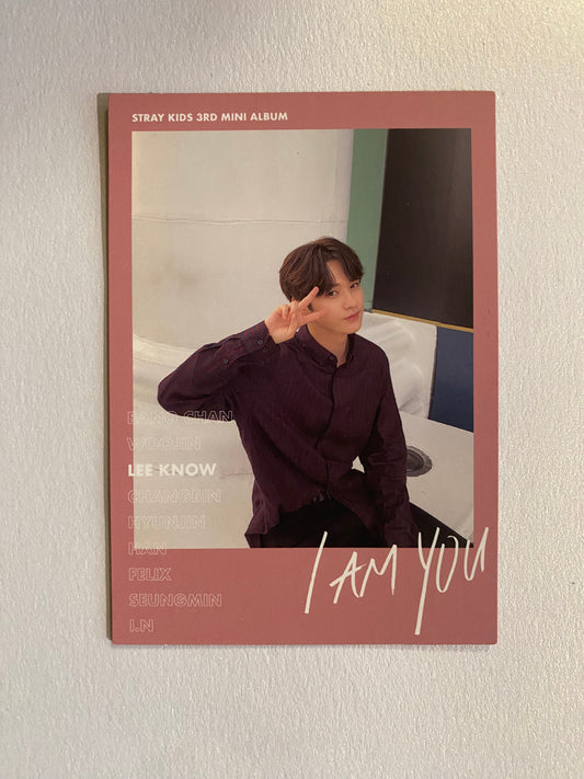 Stray Kids Lee Know I Am You Polaroid Photocard