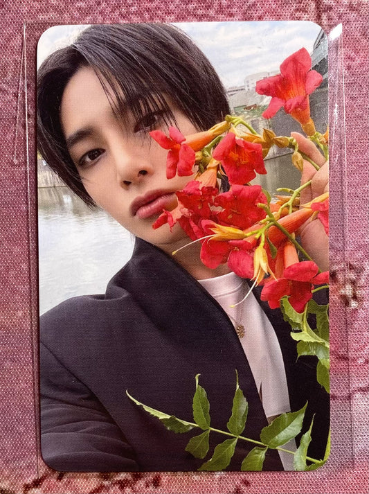 Stray Kids I.N Karma Pop-Up Store Week 1 Photocard