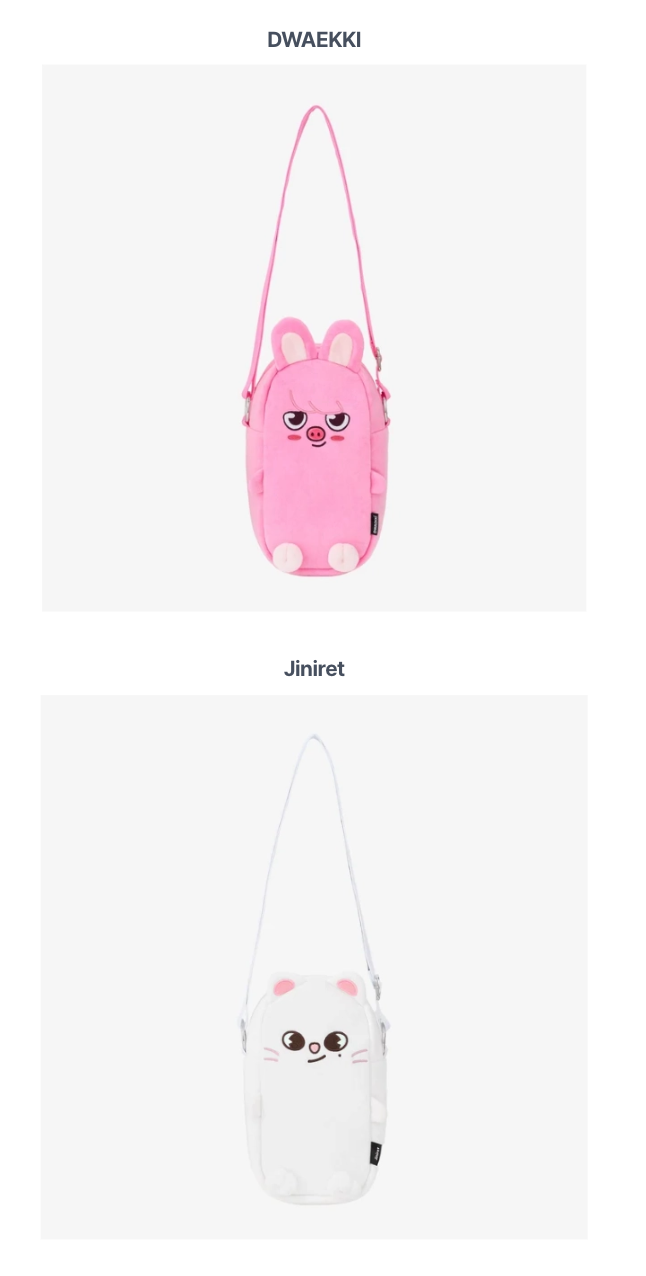 [PREORDER] [SHIPS IN SEPT-NOV] Stray Kids - World Tour [RUN IT JAPAN] OFFICIAL MD MULTI-POUCH (Member Choice)