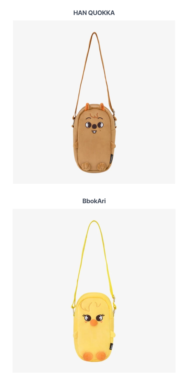 [PREORDER] [SHIPS IN SEPT-NOV] Stray Kids - World Tour [RUN IT JAPAN] OFFICIAL MD MULTI-POUCH (Member Choice)