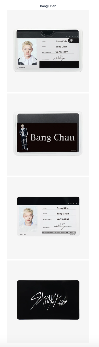 [PREORDER] [SHIPS IN SEPT-NOV] Stray Kids - World Tour [RUN IT JAPAN] OFFICIAL MD PROFILE CARD SET (Member Choice)