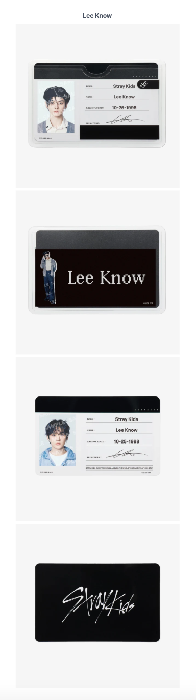 [PREORDER] [SHIPS IN SEPT-NOV] Stray Kids - World Tour [RUN IT JAPAN] OFFICIAL MD PROFILE CARD SET (Member Choice)