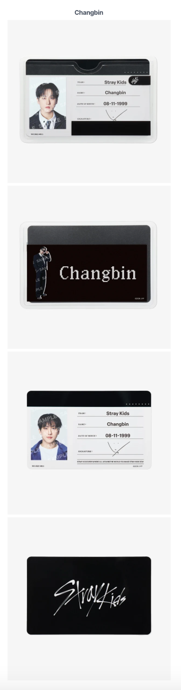 [PREORDER] [SHIPS IN SEPT-NOV] Stray Kids - World Tour [RUN IT JAPAN] OFFICIAL MD PROFILE CARD SET (Member Choice)