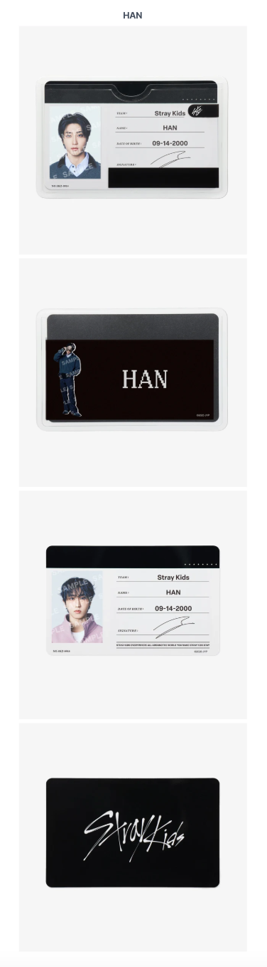 [PREORDER] [SHIPS IN SEPT-NOV] Stray Kids - World Tour [RUN IT JAPAN] OFFICIAL MD PROFILE CARD SET (Member Choice)