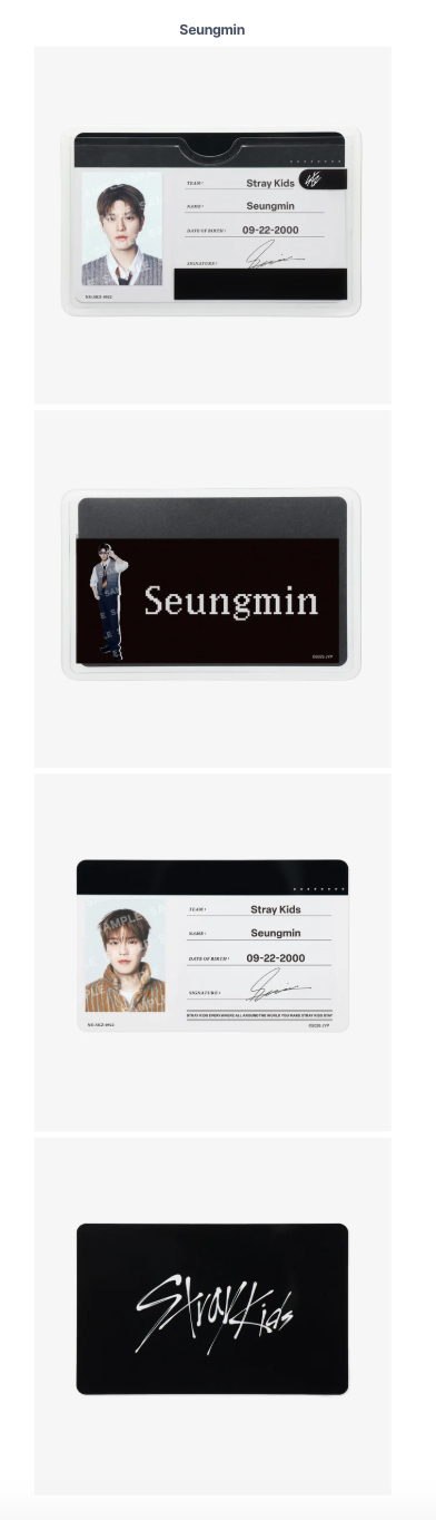 [PREORDER] [SHIPS IN SEPT-NOV] Stray Kids - World Tour [RUN IT JAPAN] OFFICIAL MD PROFILE CARD SET (Member Choice)